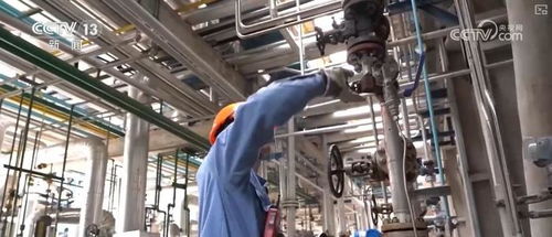 煉化工廠成鳥兒新家 綠色工業(yè)設計服務，盡顯工業(yè)之美